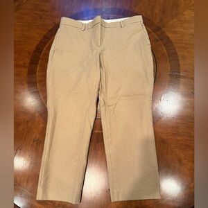 Ann Taylor Petite Curvy Fit Tan Pants